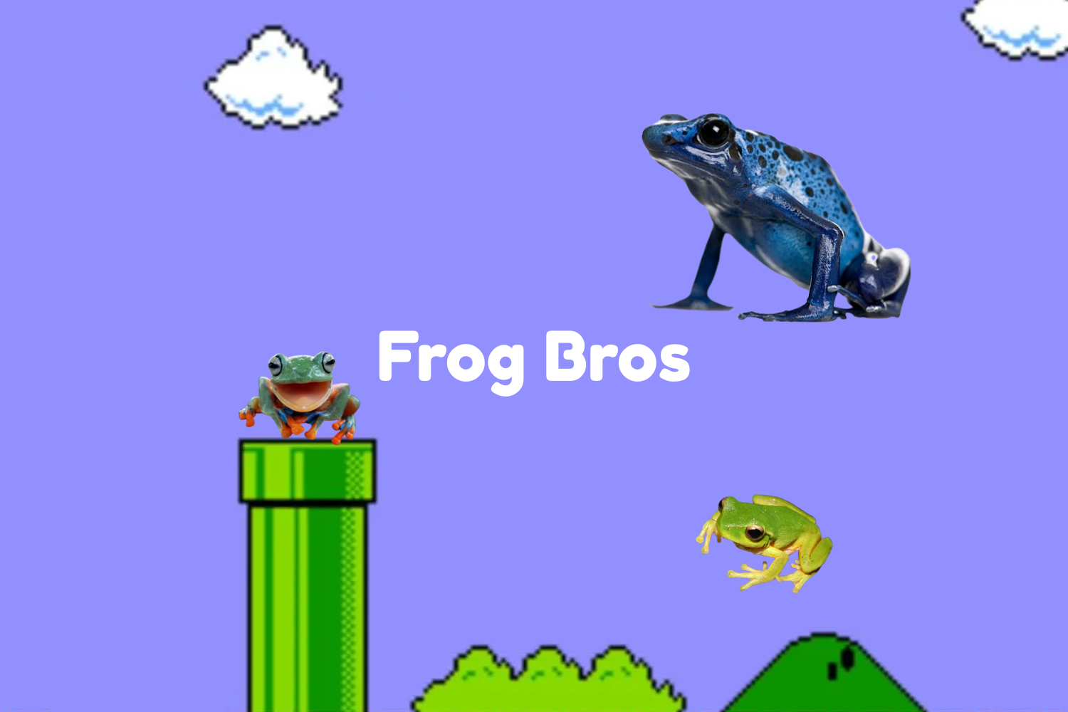 Frog Bros